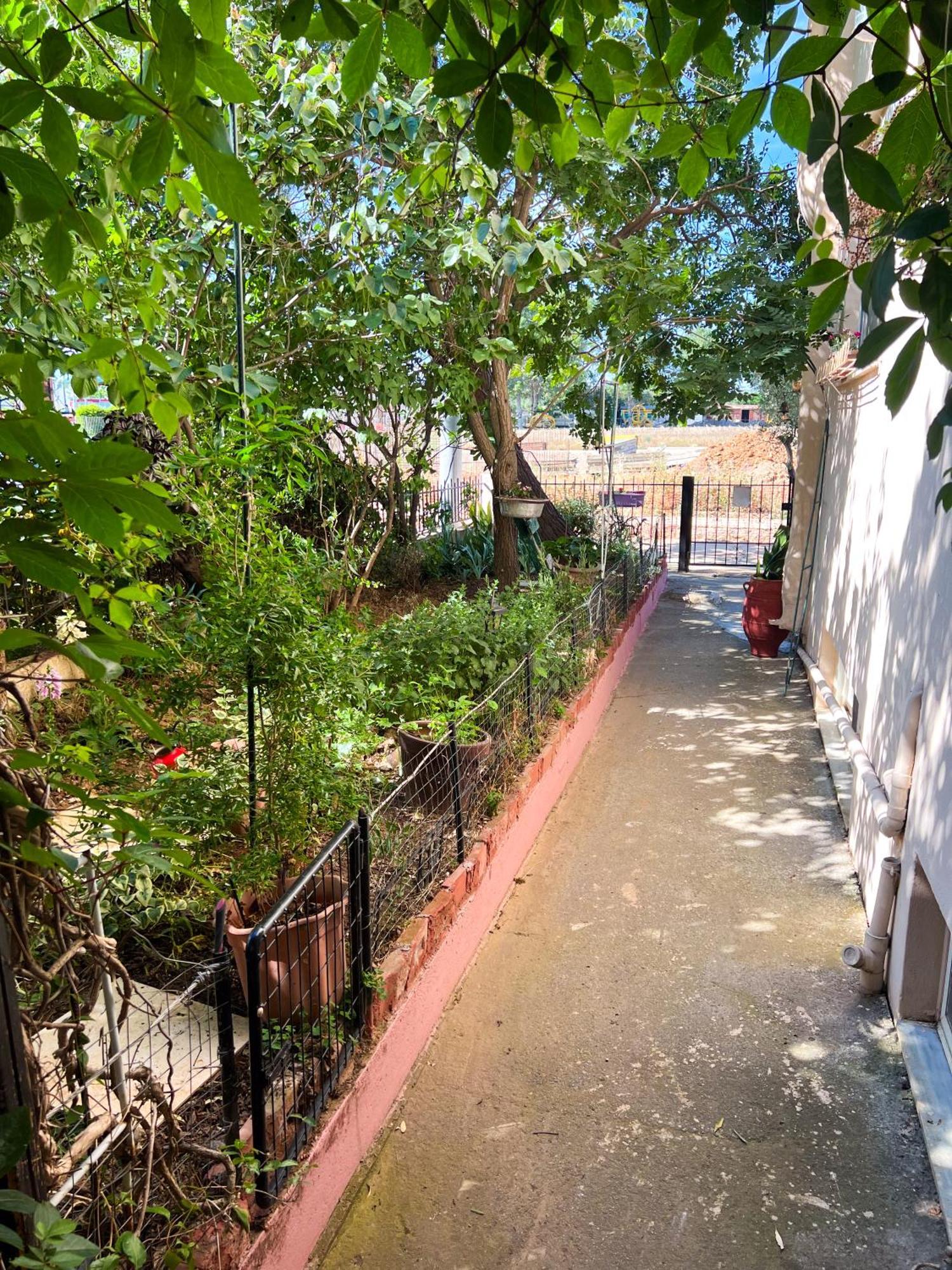 The Early Bird - Cosy 2-Floor House With Garden Villa Dedeağaç Dış mekan fotoğraf